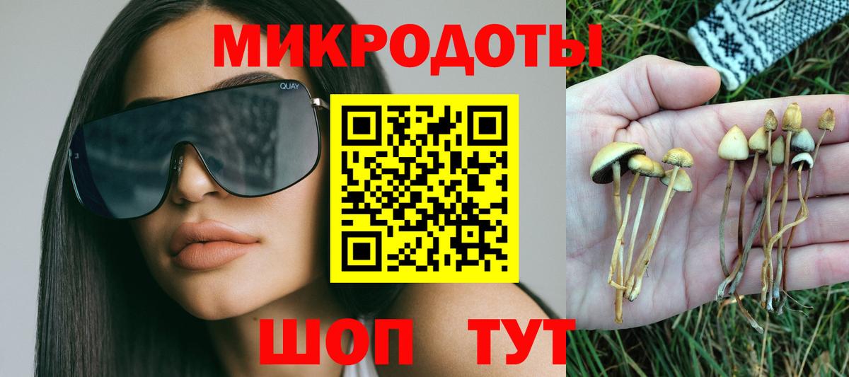 Псилоцибиновые грибы Psilocybe  Вход с VPN  Знаменск 