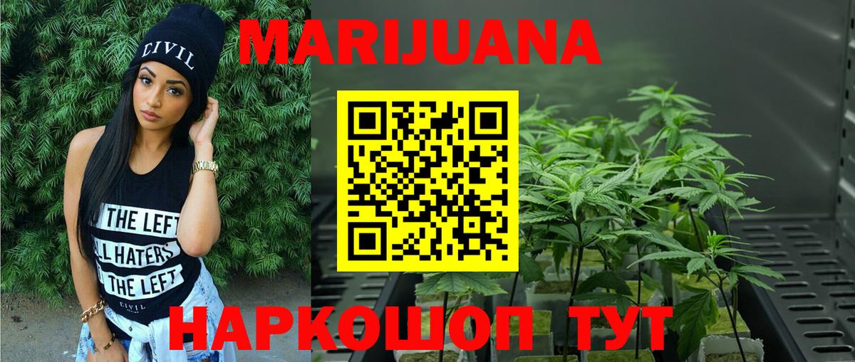 Знаменск  Бошки Шишки SATIVA & INDICA  Шишки марихуана White Widow  Марихуана сатива  Вход с VPN  Марихуана Amnesia 